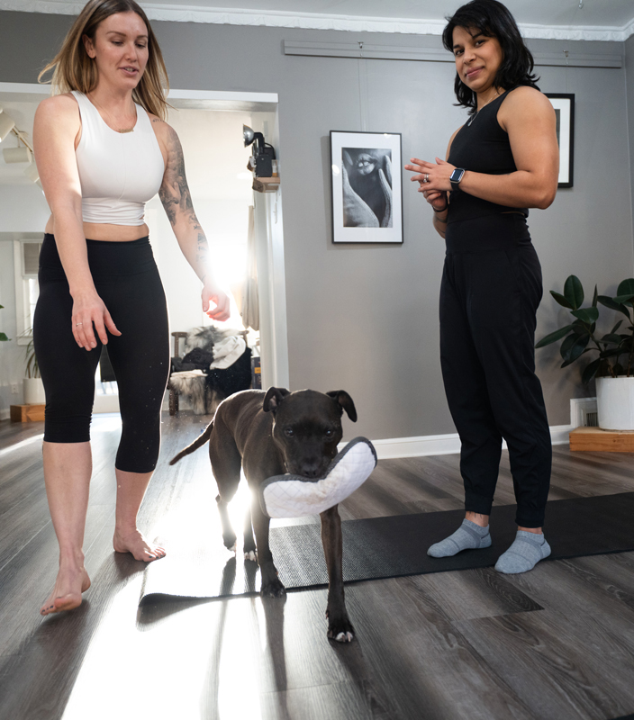 STDC Upstairs Classes